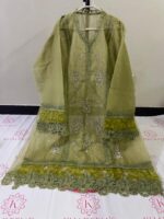 Dhani Green Zareekh 2pc - Image 2